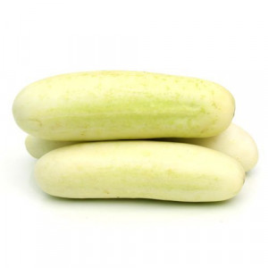 Organic cucumber