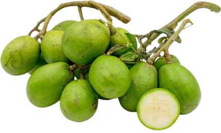 Organic Ambarella