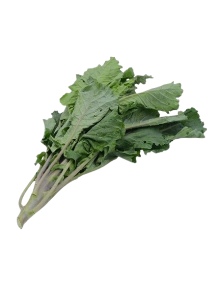 Organic Cabbage leaves