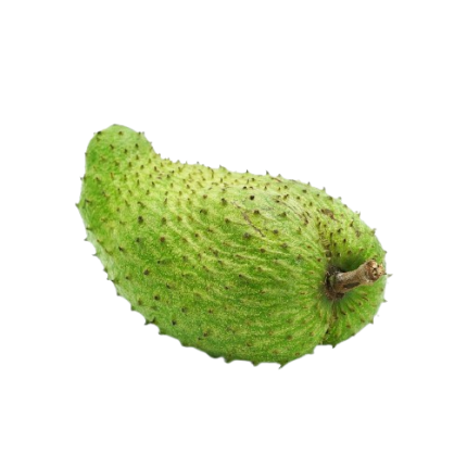 Organic Katu anoda