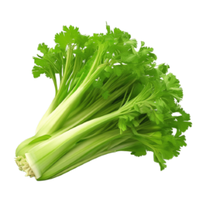 Organic Celery