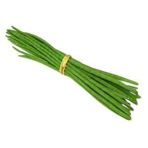 Organic Murunga