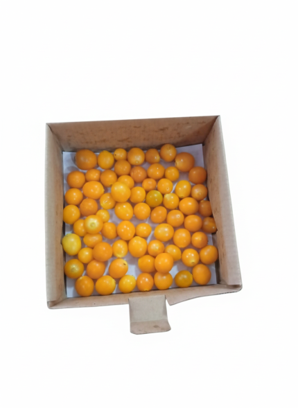 Organic Gooseberry